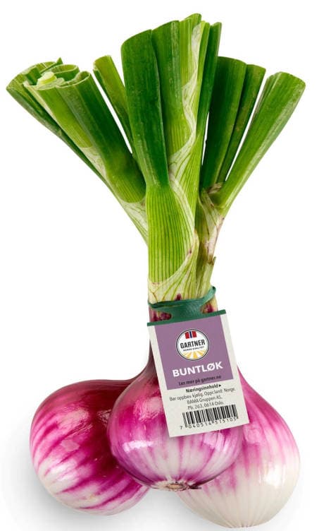 Rødløk Bunt 600 g