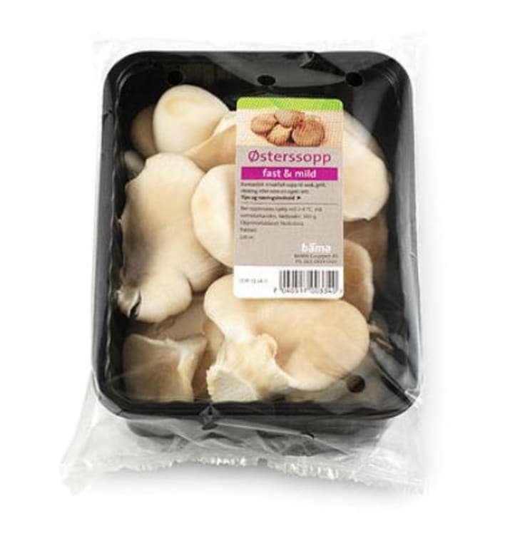 Østerssopp 300g