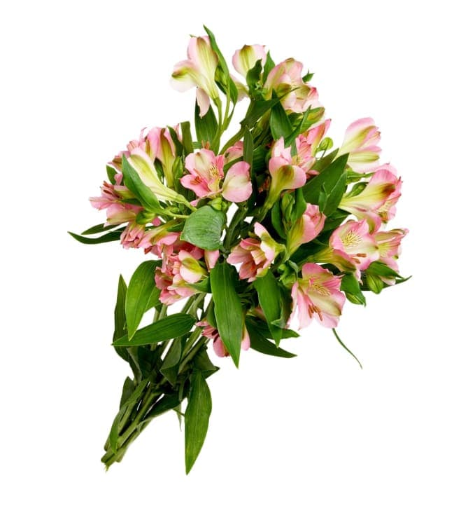Alstromeria Bukett 1 stk