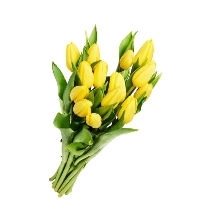 Tulipan 14pk Morsdag