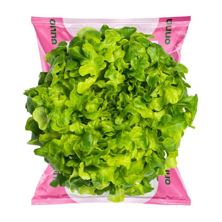 Kjekkas Grønn Ekeblad Salat 140g Onna