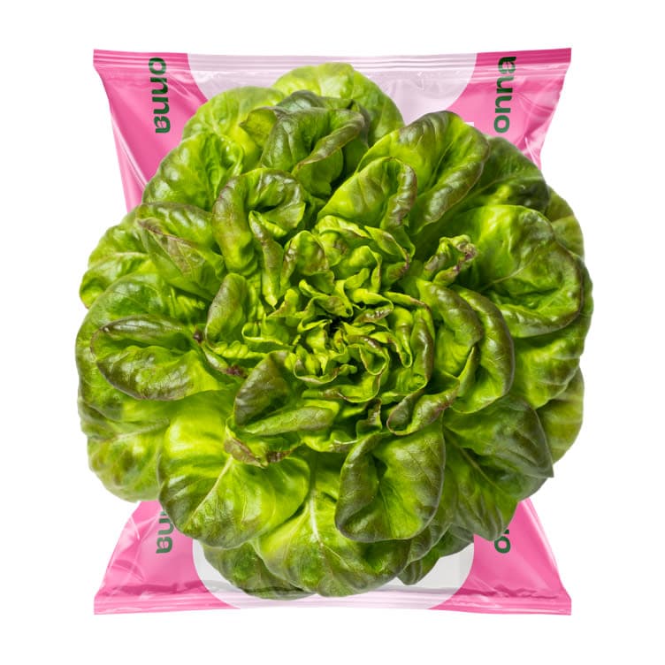 Big Butter Salat Onna