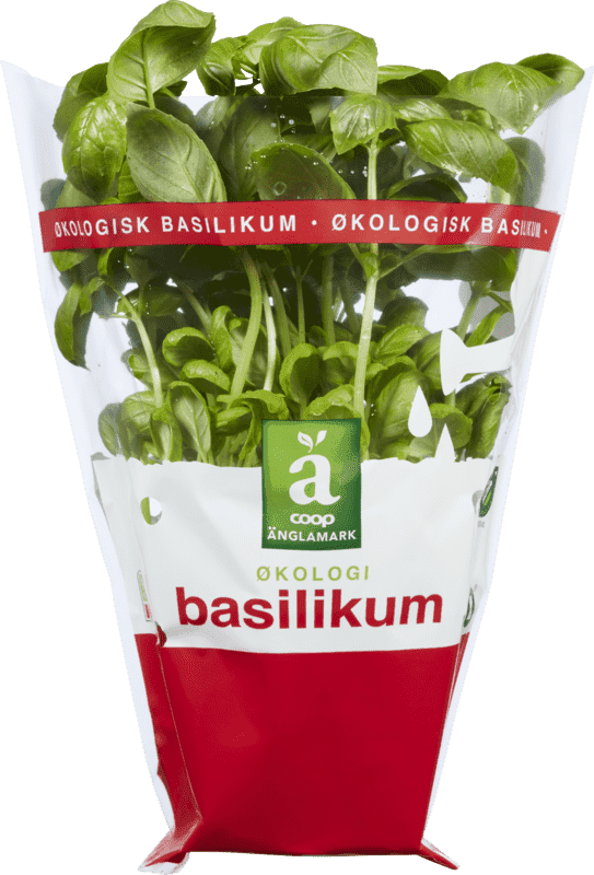 Änglamark Krydderurt Basilikum 12cm