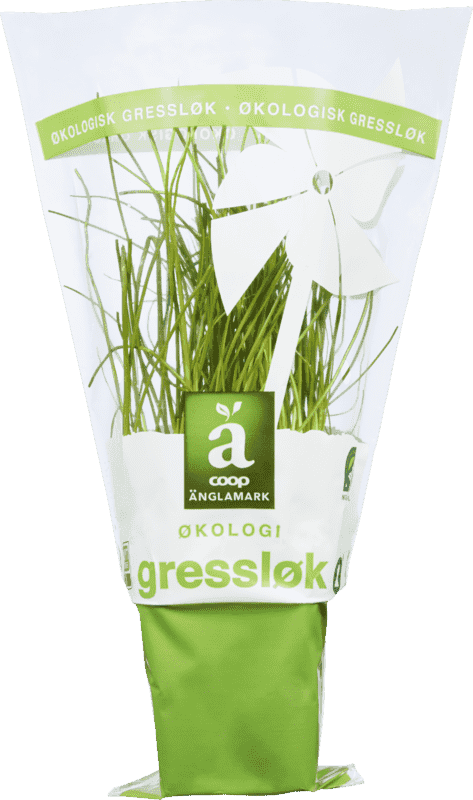 Krydderurt 8cm Gressløk Änglamark 1 stk