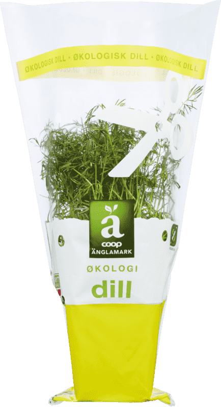 Änglamark Krydderurt 8cm Dill