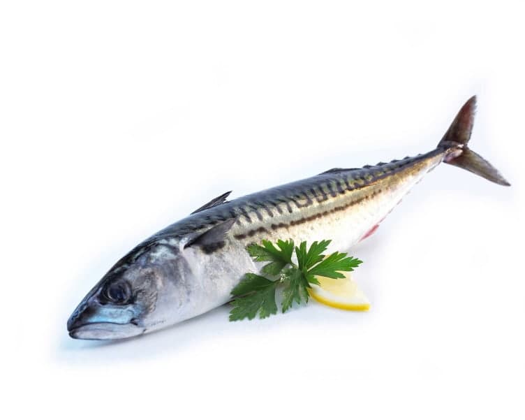 Hel makrell ca. 500g. Fra fiskedisken 1 kg