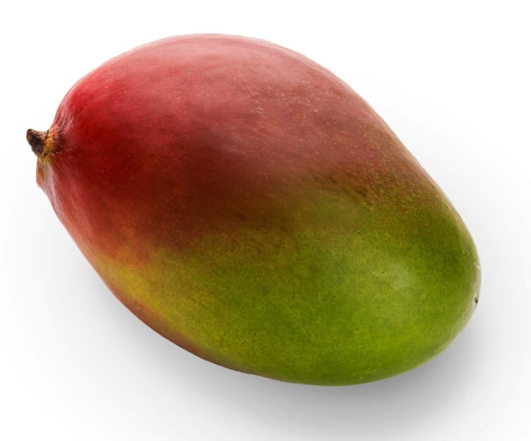 Mango Umoden stk 1 stk