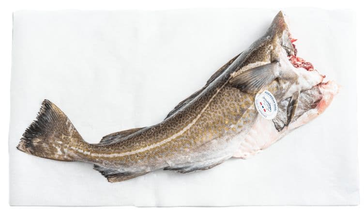 Skrei hel pr Kg
