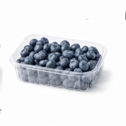 Blåbær Økologisk 125-150g beger 125 g