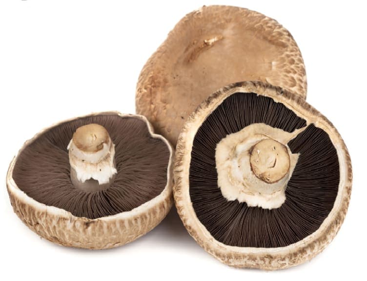 Portobello Sopp 1 kg