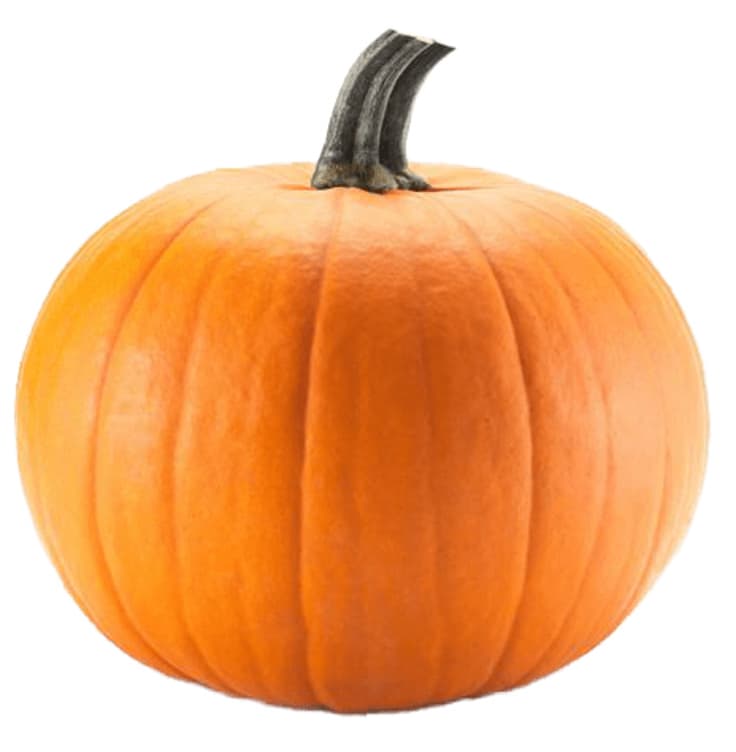 Halloween gresskar ca 6kg pr stk