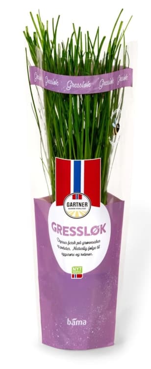 Gressløk 6,5cm Potte Gartner 200 g