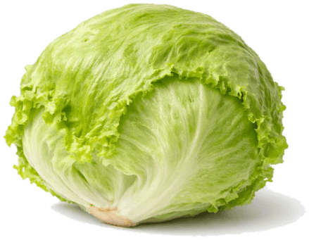 Isbergsalat stk