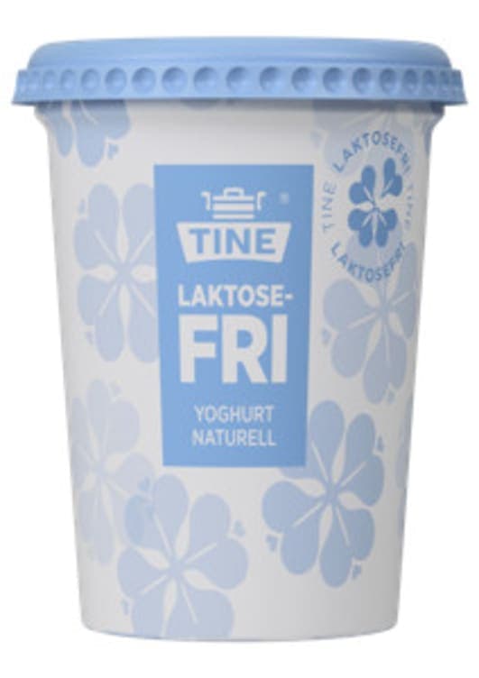 Yoghurt Naturell Laktosefri 500g Tine