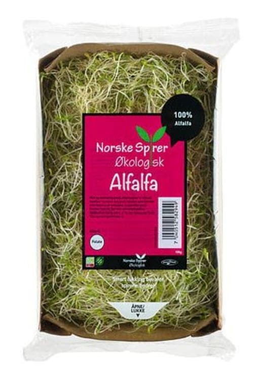 Alfaspirer Økologisk 100g