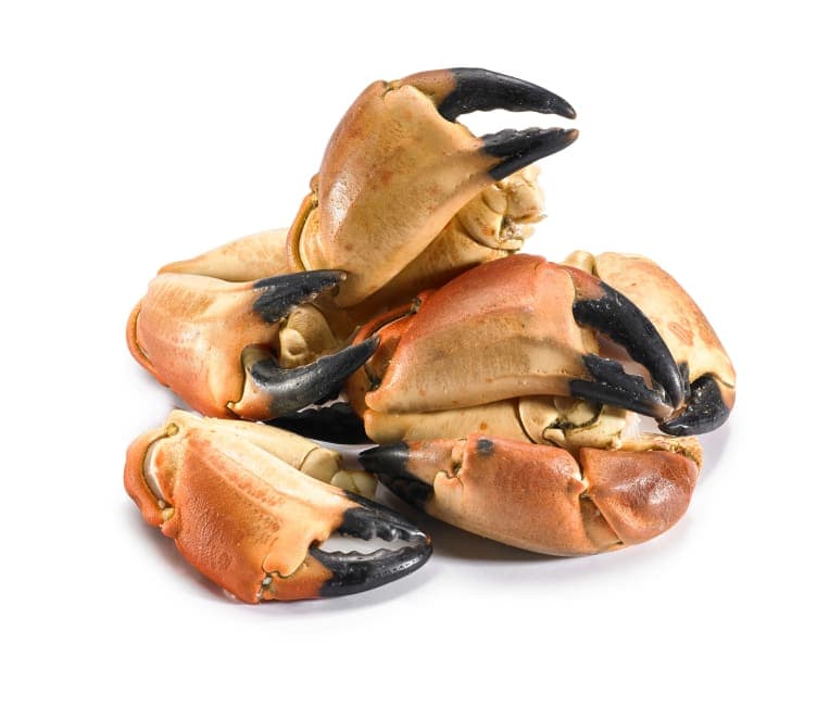 Krabbeklør bestilles pr stykk á ca.100g 100 g