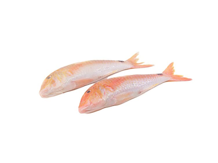Red Mullet pr Kg