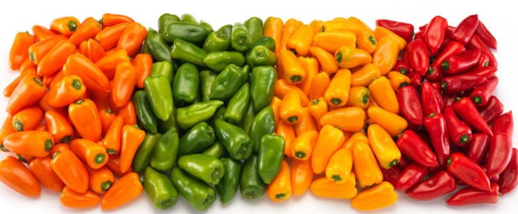 Paprika Sweet Bite Alle Farger