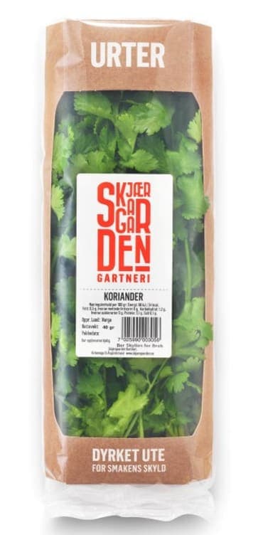 Koriander 40g pakke