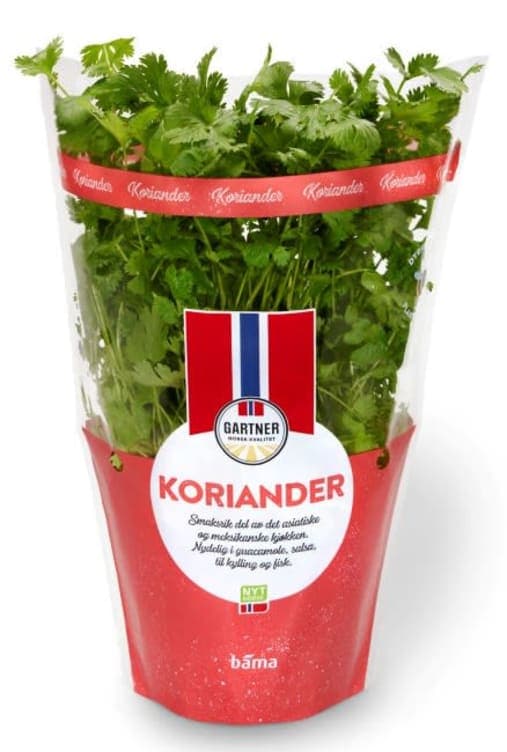Koriander 12cm Stor 425 g