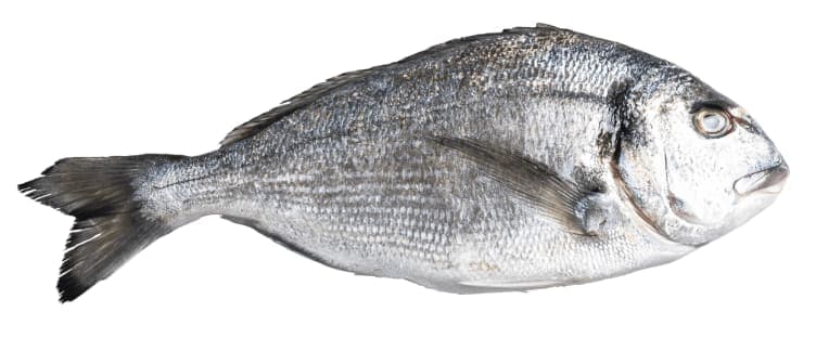 Hel dorade pr stk 500 g