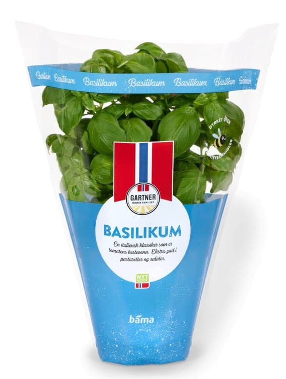 Basilikum 9cm Potte Gartner 240 g