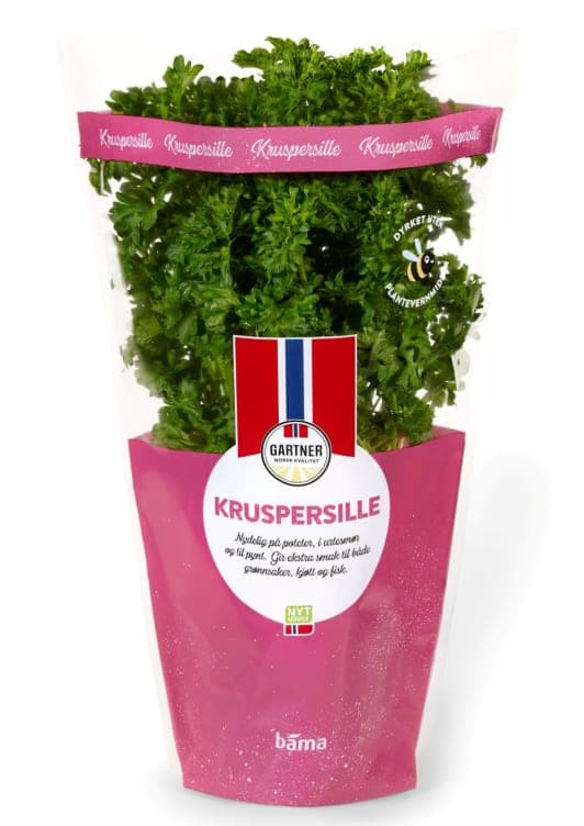 Kruspersille 6,5cm Potte Gartner 171 g
