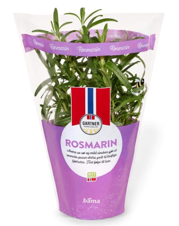 Rosmarin 9cm Potte Gartner 1 stk