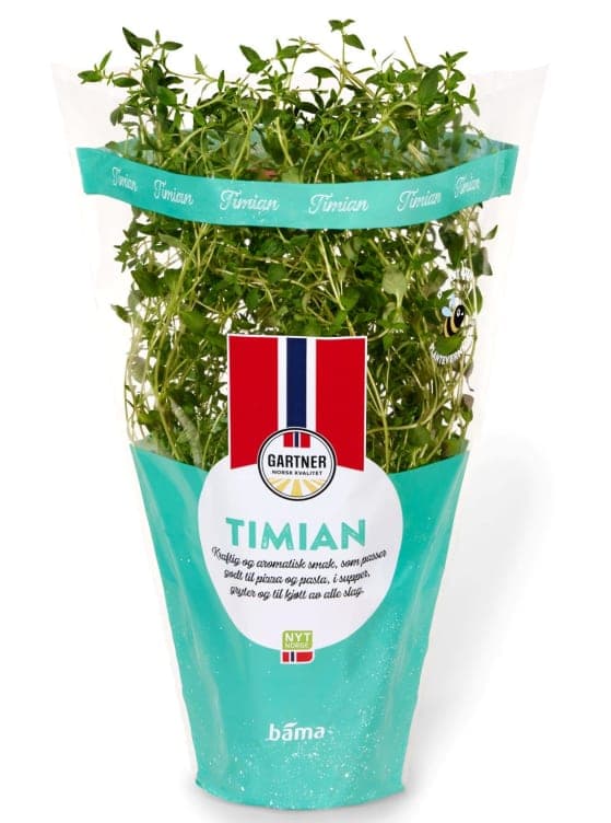 Timian 9cm Potte Gartner 240 g